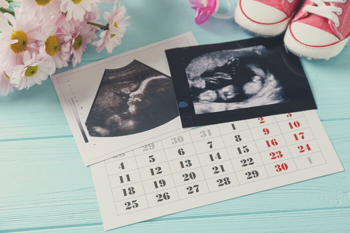 Calculadora De Embarazo Con Calendario De Las Semanas